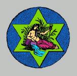 Aquarius -- The Water Bearer